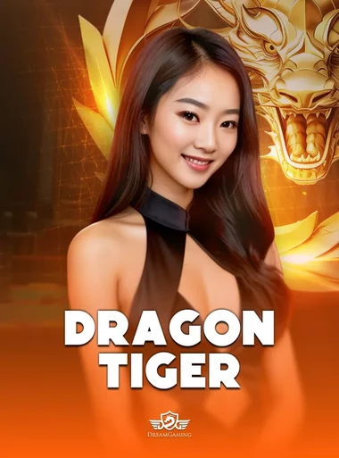 ภาพประกอบเกม DGM DragonTiger ในหมวด สมาชิก TIGER711 Member ศูนย์รวมข้อมูลบัญชี